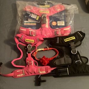 PetSafe Puppy Starter Harness Set